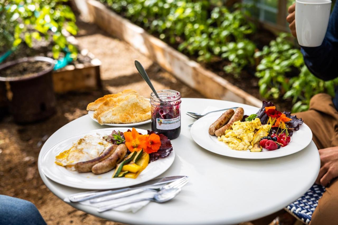Cormack Upper Humber Settlement A Farmstay B&B מראה חיצוני תמונה