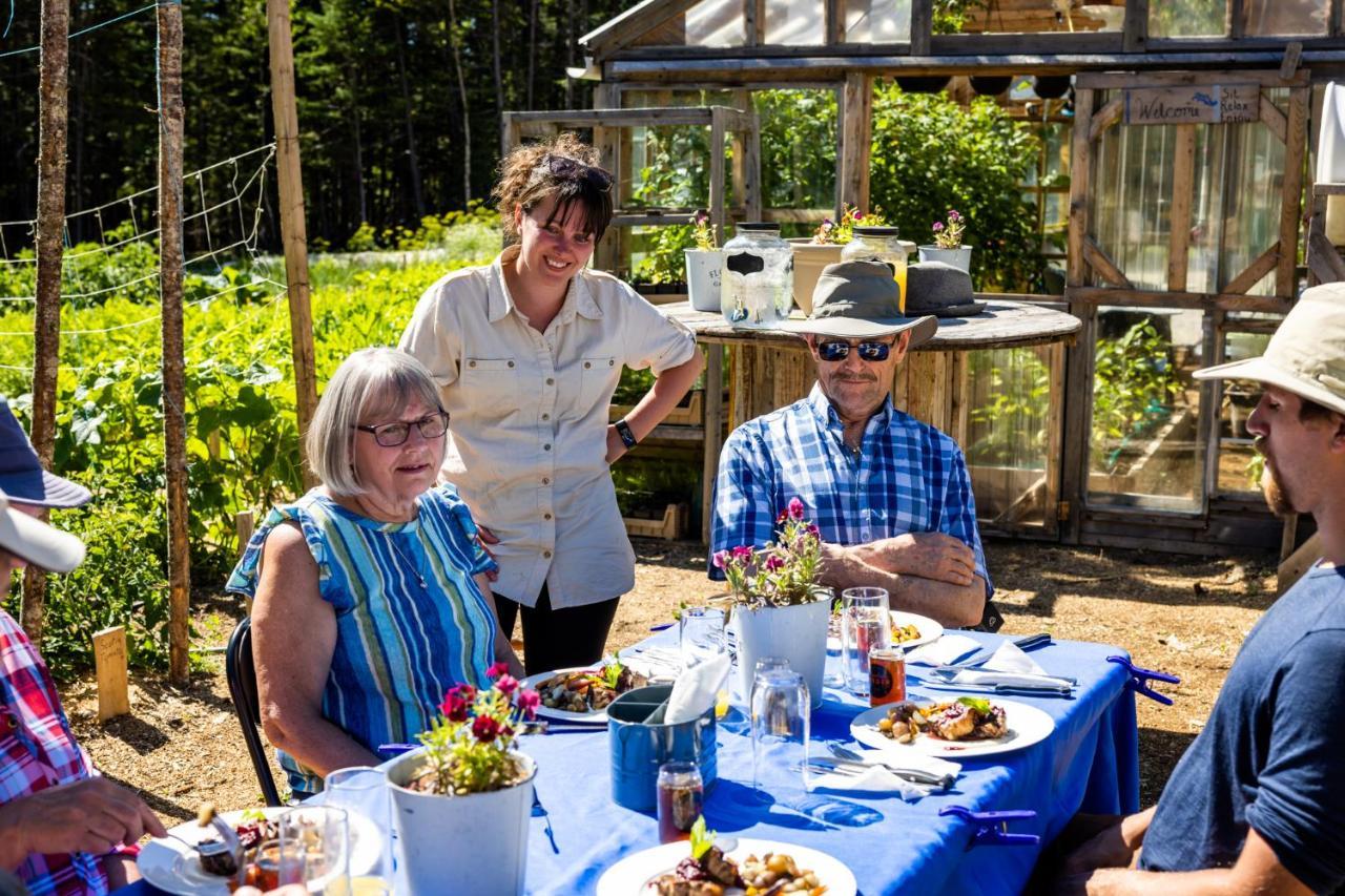 Cormack Upper Humber Settlement A Farmstay B&B מראה חיצוני תמונה
